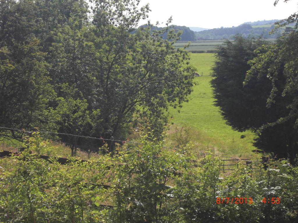 The Homestead Carnforth Dış mekan fotoğraf