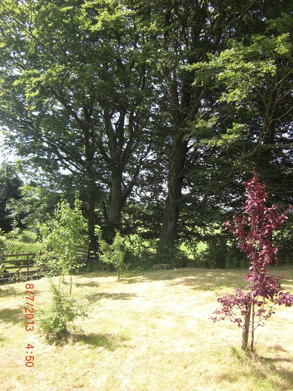 The Homestead Carnforth Dış mekan fotoğraf